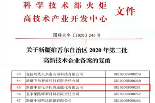 托克遜能化榮獲自治區(qū)第二批高新技術(shù)企業(yè)認(rèn)定，知識(shí)產(chǎn)權(quán)服務(wù)助力創(chuàng)新發(fā)展