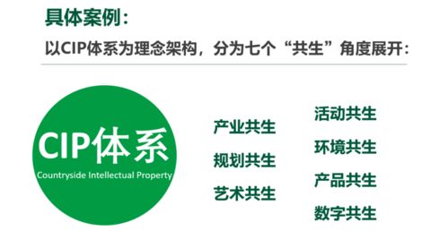 文化創(chuàng)意賦能鄉(xiāng)村振興 IP體系構建與數(shù)字文創(chuàng)內容應用服務的實踐探索——以孫美華案例為視角